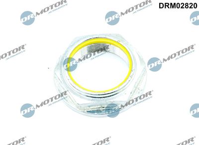 Dr.Motor Automotive Mutter, Achszapfen