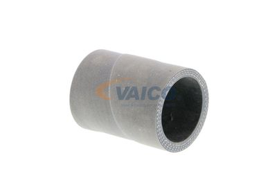 LADELUFTSCHLAUCH VAICO V103759 33