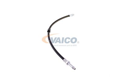 FURTUN FRANA VAICO V300547 48