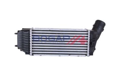 INTERCOOLER COMPRESOR BOGAP P4220109
