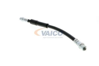 FURTUN FRANA VAICO V104119 17