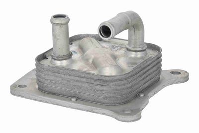 RADIATOR ULEI ULEI MOTOR ACKOJA A38600023 3