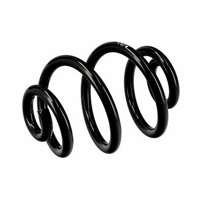 ARC SPIRAL EIBACH R10030 17