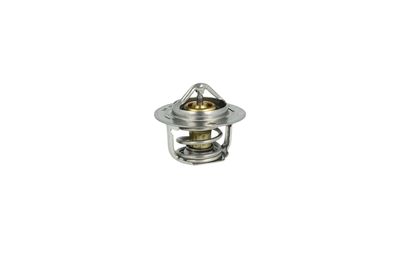 TERMOSTAT LICHID RACIRE NRF 725097 45