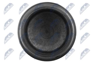 PISTON ETRIER FRANA NTY HTZTY007 2