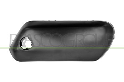 ZIER-/SCHUTZLEISTE STOßFäNGER PRASCO PG4221246