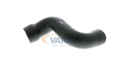 FURTUN EAR SUPRAALIMENTARE VAICO V103828 37