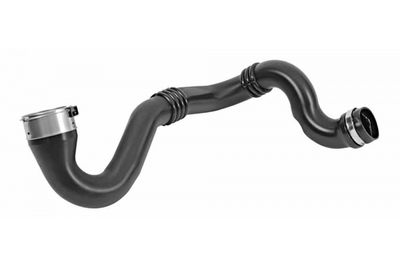 FURTUN EAR SUPRAALIMENTARE