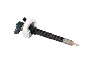 INJECTOR REMANTE 002003001315R 48