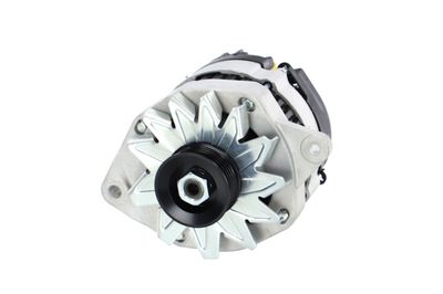 GENERATOR / ALTERNATOR REMANTE 011003000081R 64