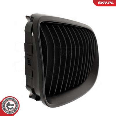 GRILA RADIATOR ESEN SKV 66SKV113 8