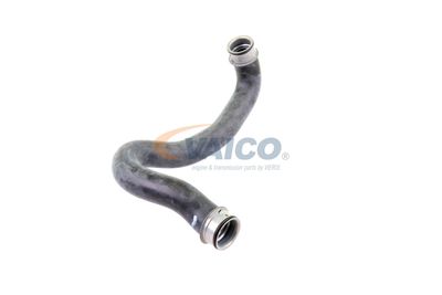 KüHLERSCHLAUCH VAICO V302224 52