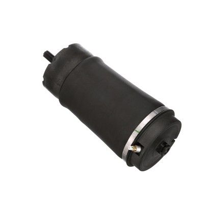 LUFTFEDER FAHRWERK Arnott A2831 55