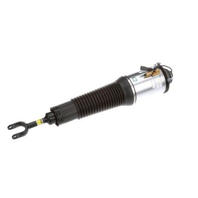 LUFTFEDERBEIN Arnott AS2562 50