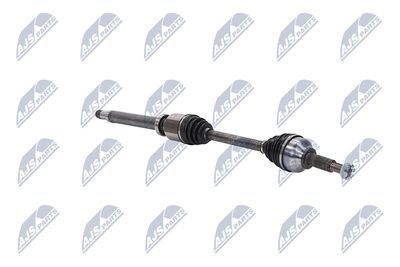 PLANETARA NTY NPWFR074 11