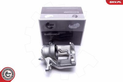 Brake Caliper 55SKV961