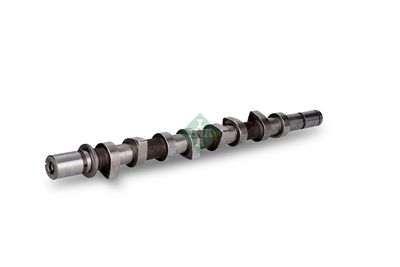 AX CU CAME Schaeffler INA 428016310 1