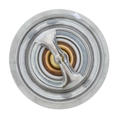 360 Grad Ansicht 53