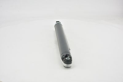 AMORTIZOR FEBEST 21650805R 39