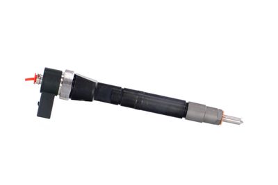 INJECTOR REMANTE 002003001146R 42