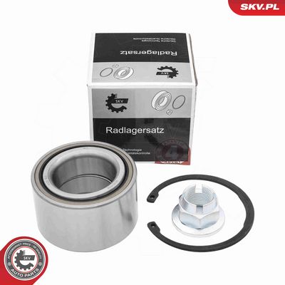 SET RULMENT ROATA ESEN SKV 85SKV050