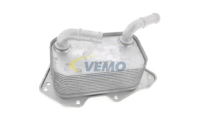 RADIATOR ULEI ULEI MOTOR VEMO V15606019 63