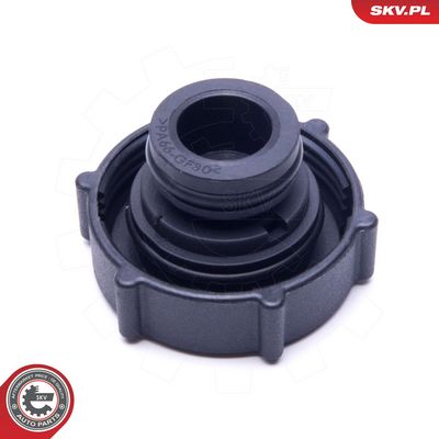 Dangtelis, radiatorius