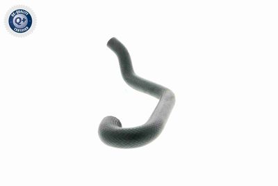 FURTUN RADIATOR VAICO V201701 3