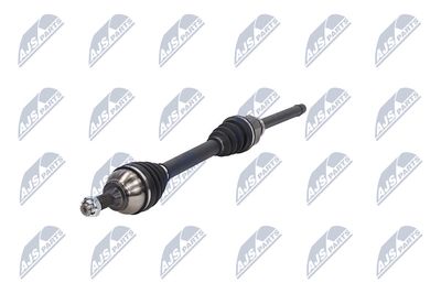 PLANETARA NTY NPWCT107 18