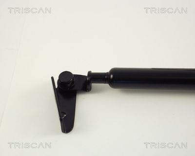 AMORTIZOR PORTBAGAJ KAWE 871050208 1