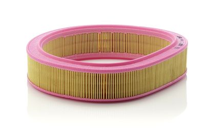 Oro filtras
