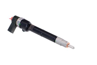 INJECTOR REMANTE 002003001100R 46