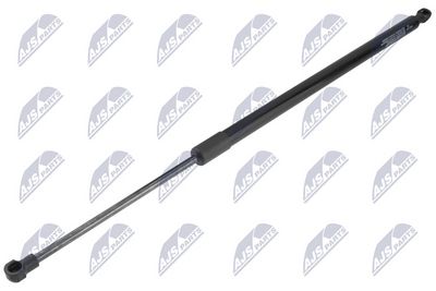 Dujinė spyruoklė, bagažinė