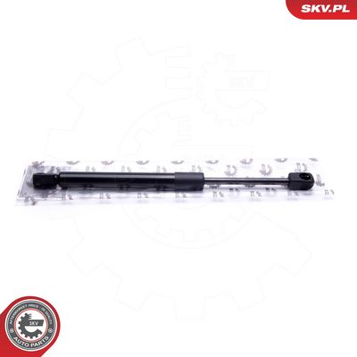 Dujinė spyruoklė, bagažinė