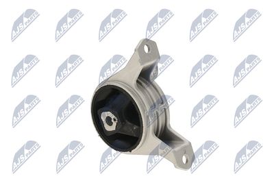 SUPORT MOTOR NTY ZPSPL016 29