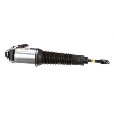 LUFTFEDERBEIN Arnott AS2560 40