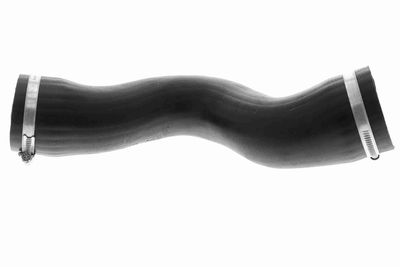 FURTUN EAR SUPRAALIMENTARE