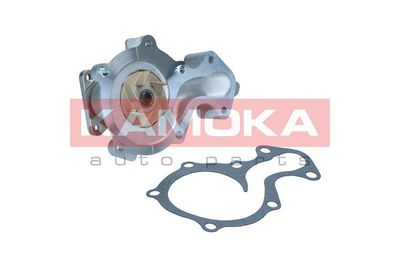 Water Pump, engine cooling T0290