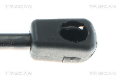 AMORTIZOR PORTBAGAJ TRISCAN 871043308 2