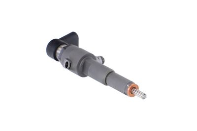 INJECTOR REMANTE 002003001356R 50