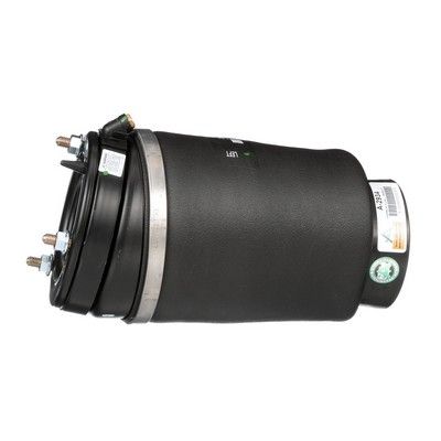 LUFTFEDER FAHRWERK Arnott A2934 27