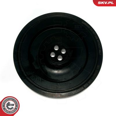 FULIE CUREA ARBORE COTIT ESEN SKV 95SKV315 2