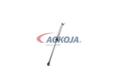 AMORTIZOR PORTBAGAJ ACKOJA A320075 26