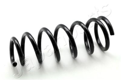 Suspension Spring ZC6499I