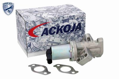 SUPAPA EGR ACKOJA A53630007 1