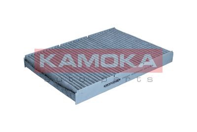 Filter, cabin air F500401