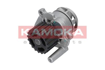 Water Pump, engine cooling T0253