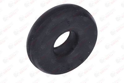 BUCșă AMORTIZOR BIRTH 4148 6