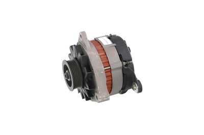 GENERATOR / ALTERNATOR REMANTE 011003000080R 13