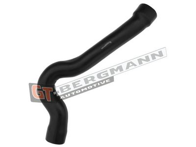 GT-BERGMANN Automotive Kompresoriaus padavimo žarna